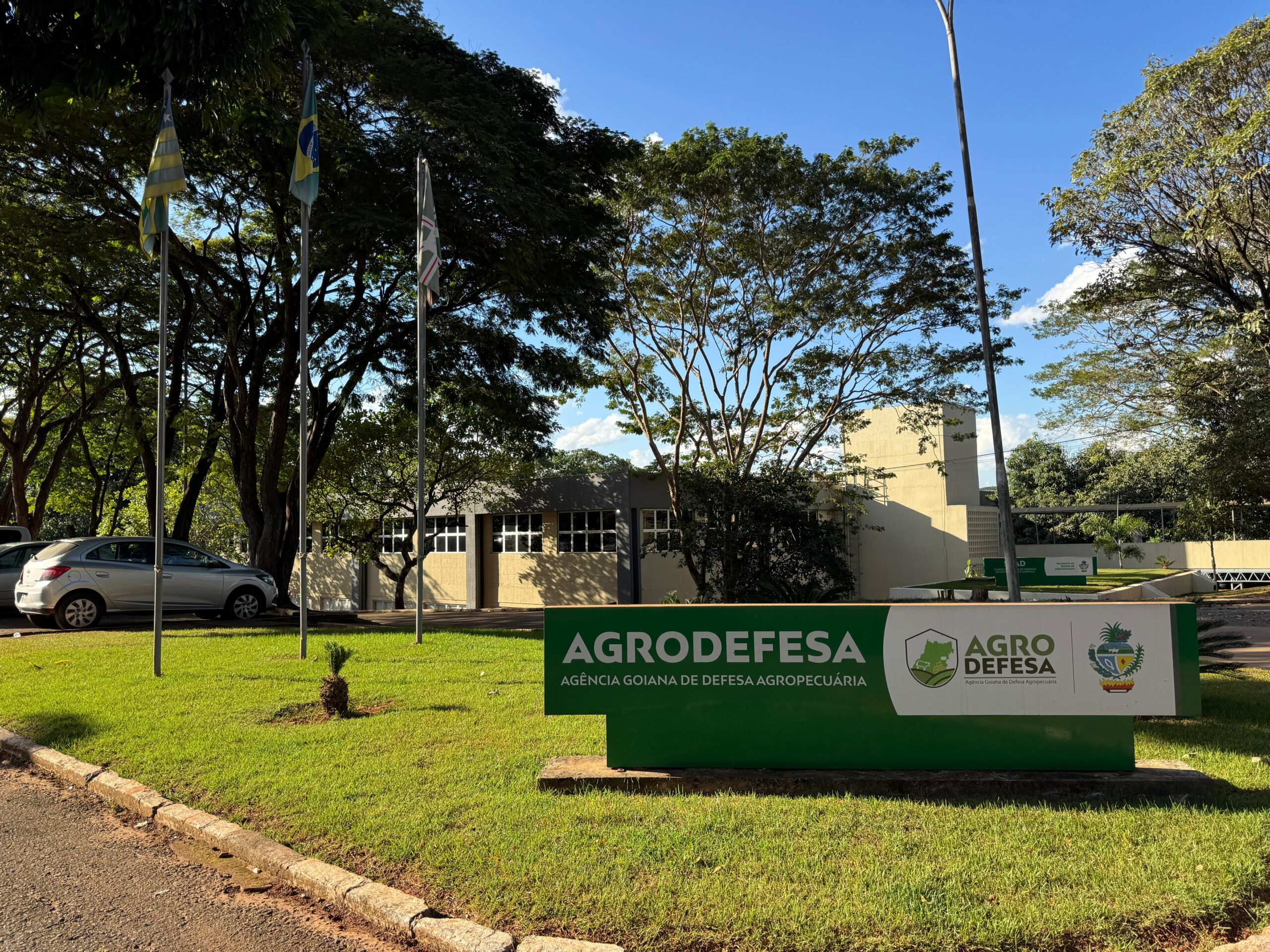 Confirmado primeiro caso de gripe aviária em Goiás