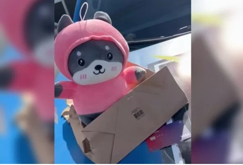 Mulher é presa em Caldas após usar cartão achado na rua para comprar chocolates e pelúcias
