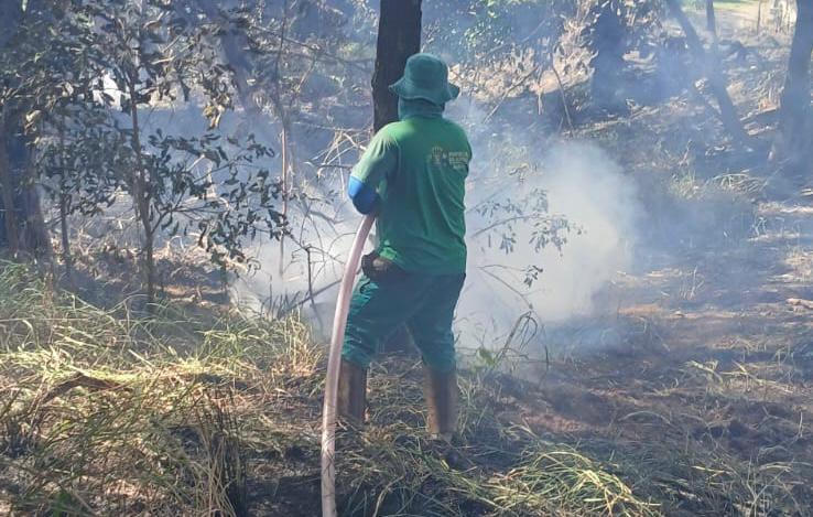 Prefeitura de Goiânia adota medidas para prevenir incêndios durante estiagem