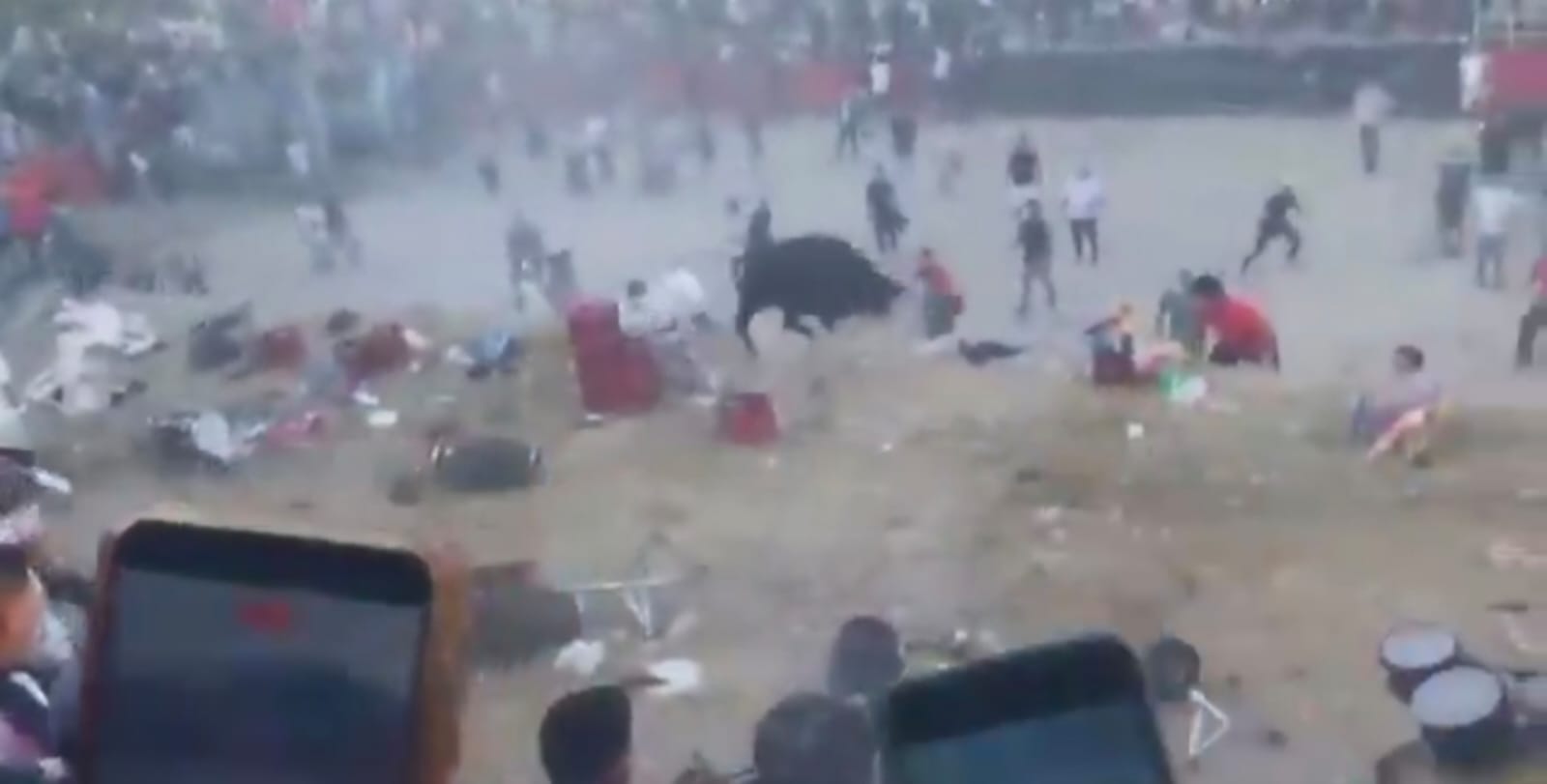 Touro escapa durante celebração religiosa, provoca caos e deixa ao menos 30 feridos no Peru