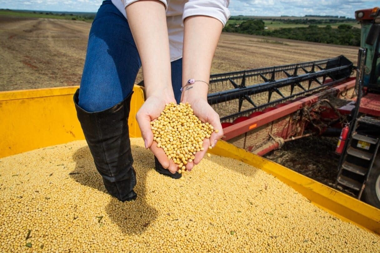 Boletim mensal do IMB mostra que PIB goiano entre janeiro e abril foi impulsionado pelo bom desempenho da agropecuária