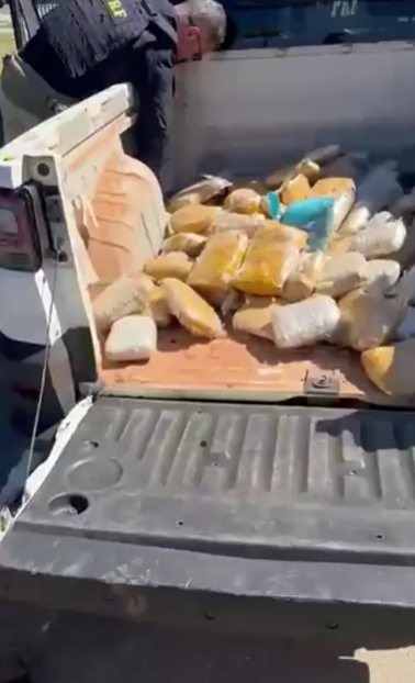Skunk escondido em picape é apreendido pela polícia na BR-060, em Goiás