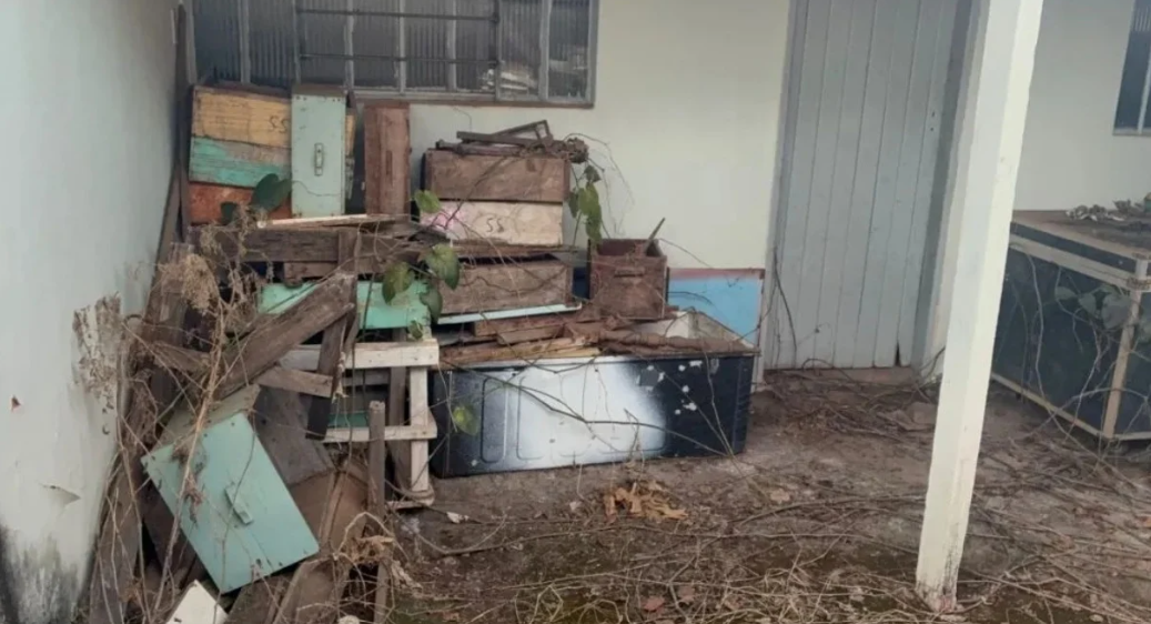 Colmeias em casa desocupada provocam ataque de abelhas no centro de Catalão