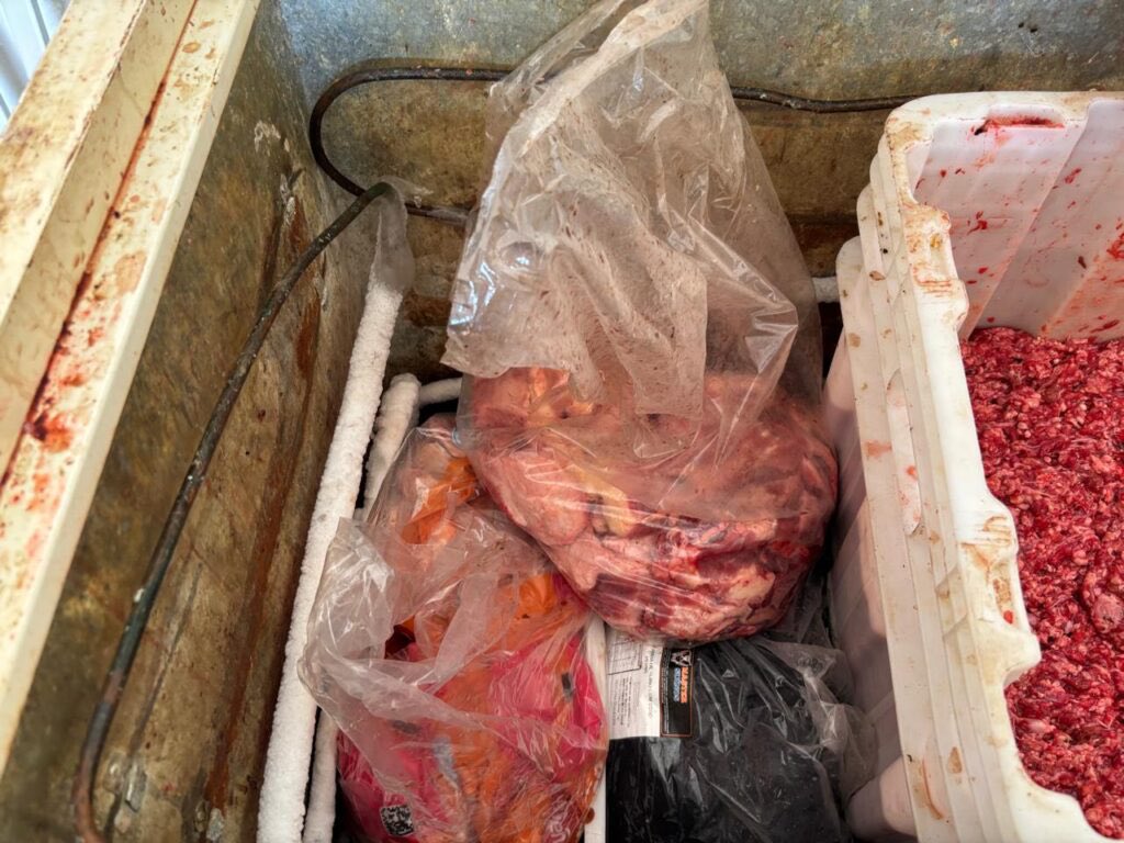 Meia tonelada de carnes impróprias é apreendida em supermercado de Aparecida de Goiânia