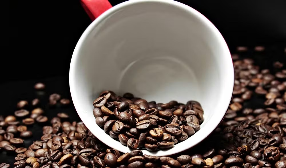 EUA anunciam tarifa zero para café e frutas tropicais, mas mantêm taxa de 50% contra Brasil