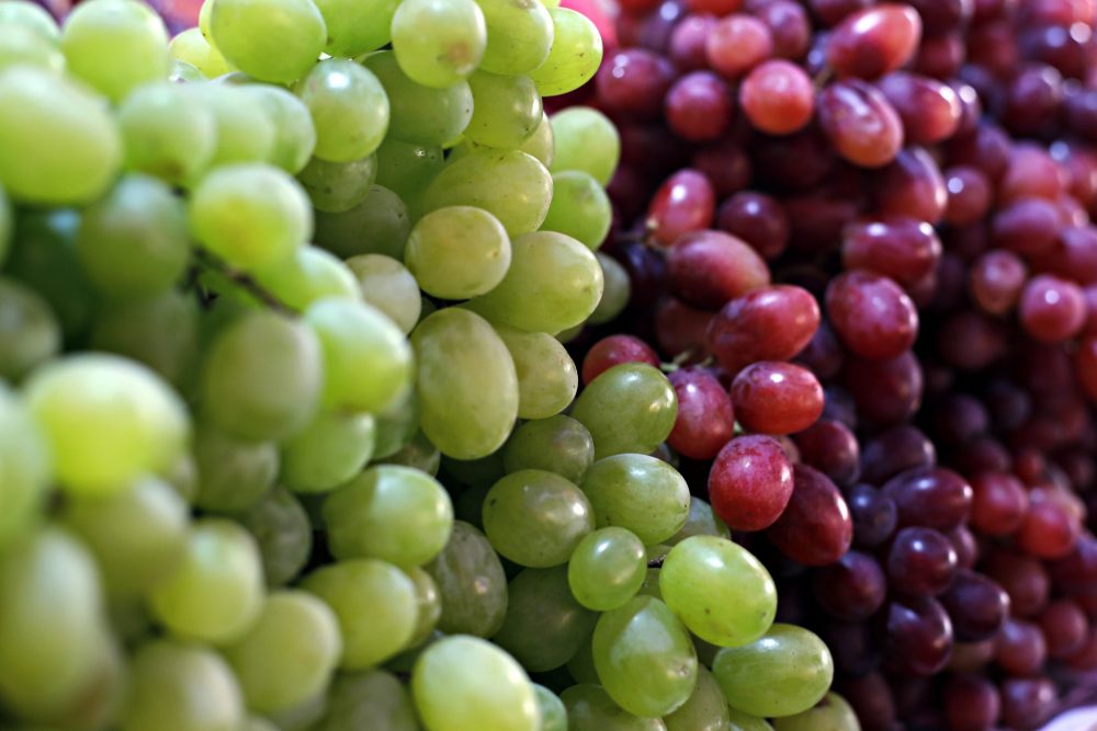 Frutas brasileiras sob tarifa dos EUA: impactos e alternativas