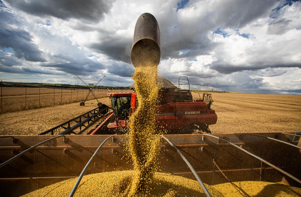 Produção recorde de soja reforça protagonismo de Goiás no agronegócio nacional