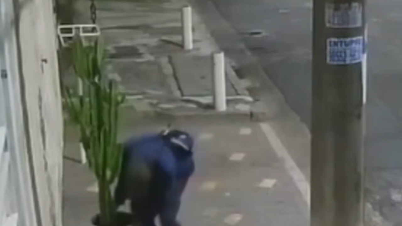 Furto inusitado: homem rouba planta em plena madrugada em São Paulo