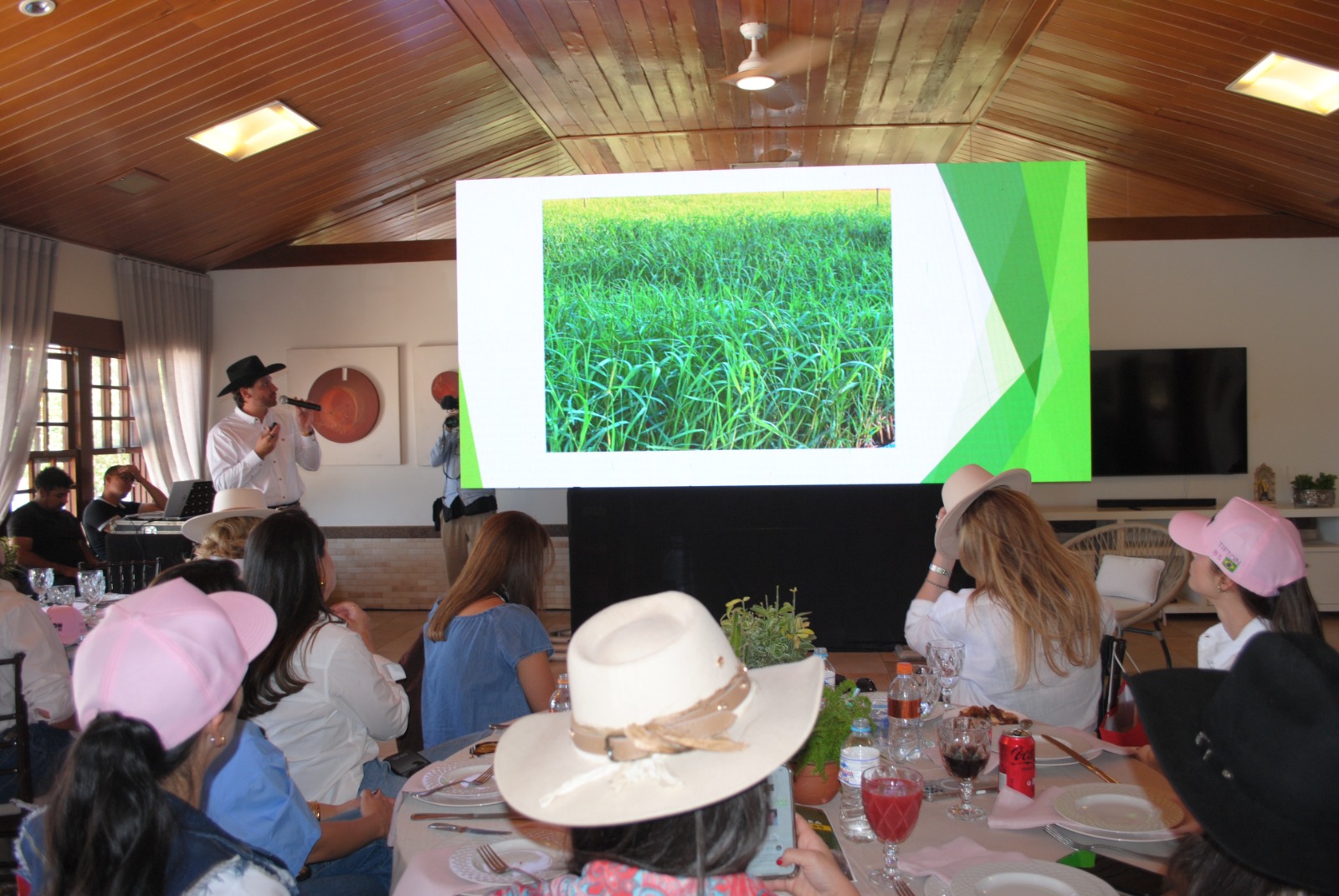 Mulheres pecuaristas participam de dia de campo para conhecer tecnologia de capim plantado por mudas