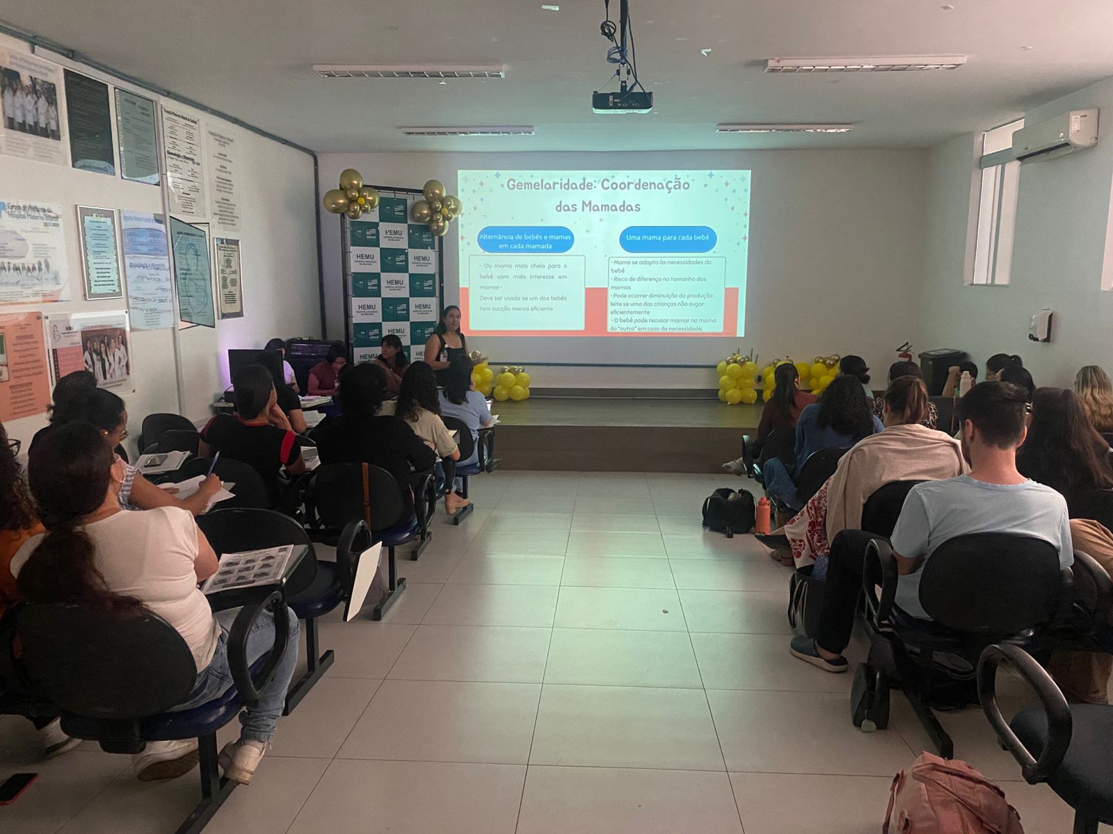 Hemu realiza curso do Agosto Dourado para profissionais de saúde