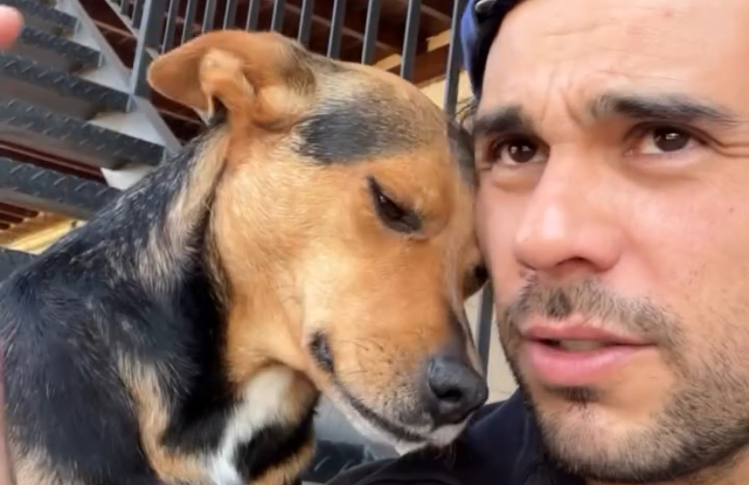 Cadela tem reação comovente ao ouvir "eu te amo" do tutor