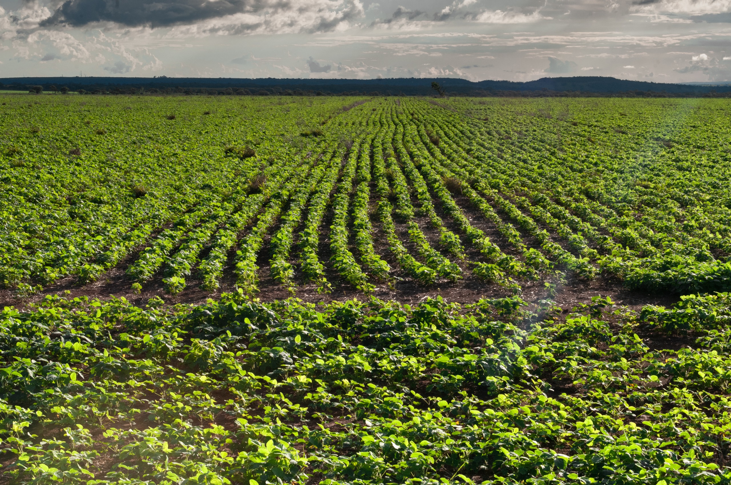 FCO Rural ultrapassa R$ 1 bilhão em financiamentos aprovados em 2025