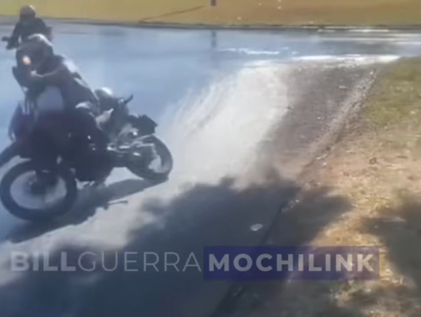 Jamelões transformam rotatória em perigo para motociclistas em Goiânia