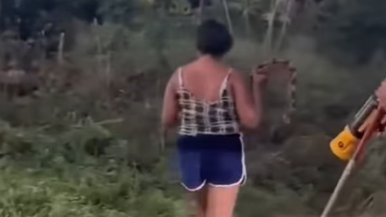 Mulher surpreende e captura cobra no Maranhão com as próprias mãos