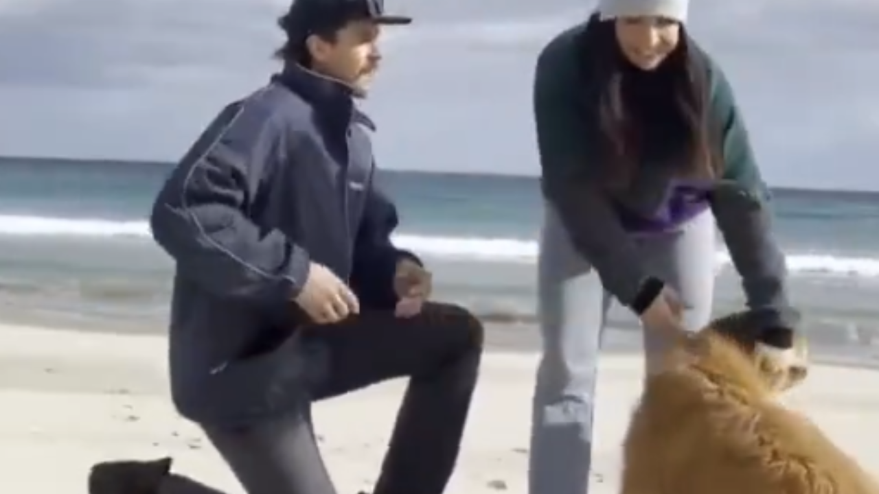 Homem pede namorada em casamento na praia e cachorro rouba a cena