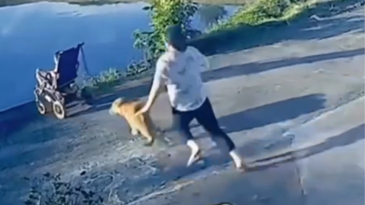 Carrinho de bebê desliza em direção a lago e assusta mãe desatenta