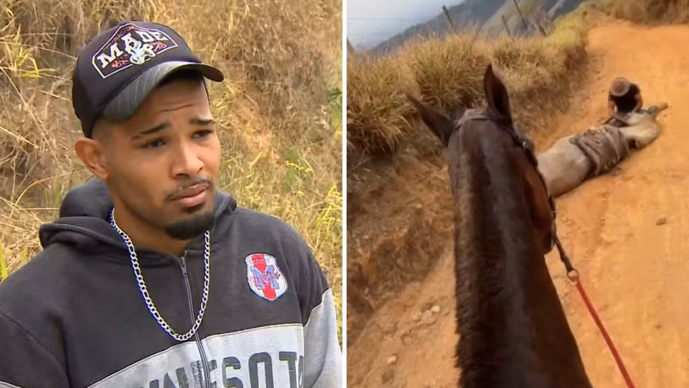 Suspeito confessa ter mutilado cavalo em Bananal