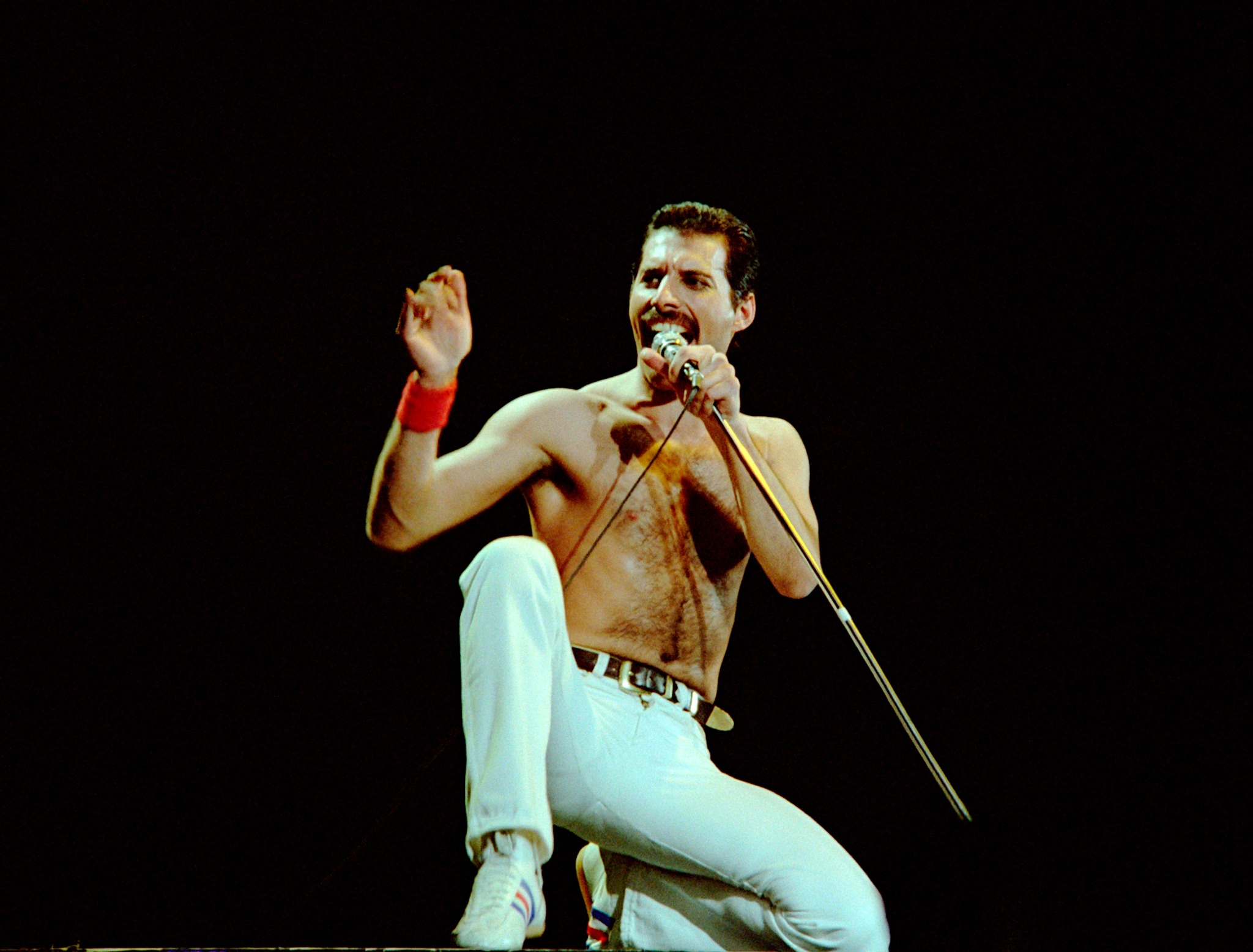 Suposta filha de Freddie Mercury guia biografia difícil de acreditar