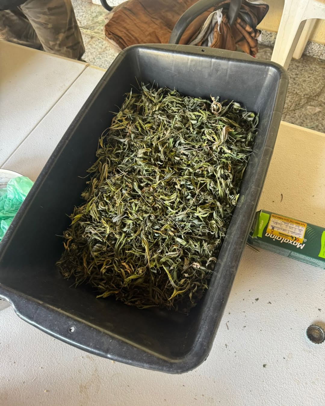 Quatro pessoas são presas suspeitas de tráfico de drogas