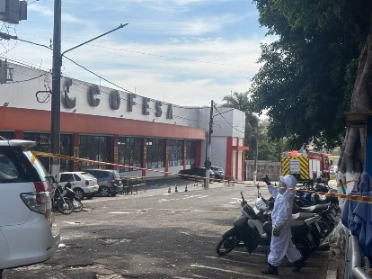 Ataque de abelhas mata homem de 74 anos no interior de SP no dia do aniversário