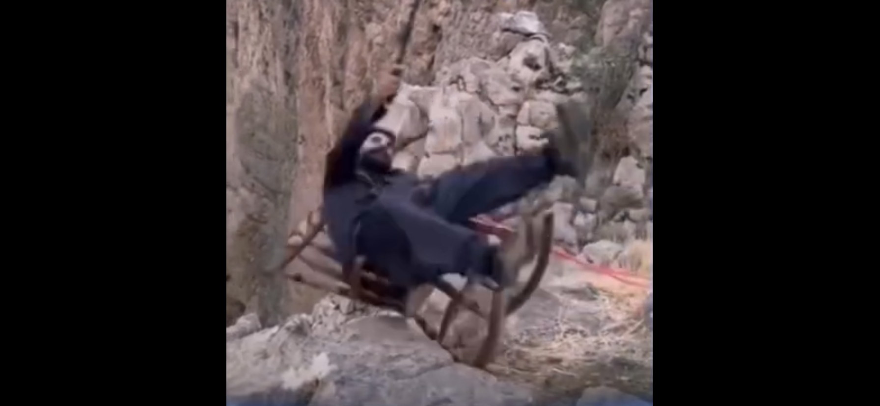 Vídeo: Homem despenca em abismo ao tentar tirar selfie arriscada; vídeo viraliza