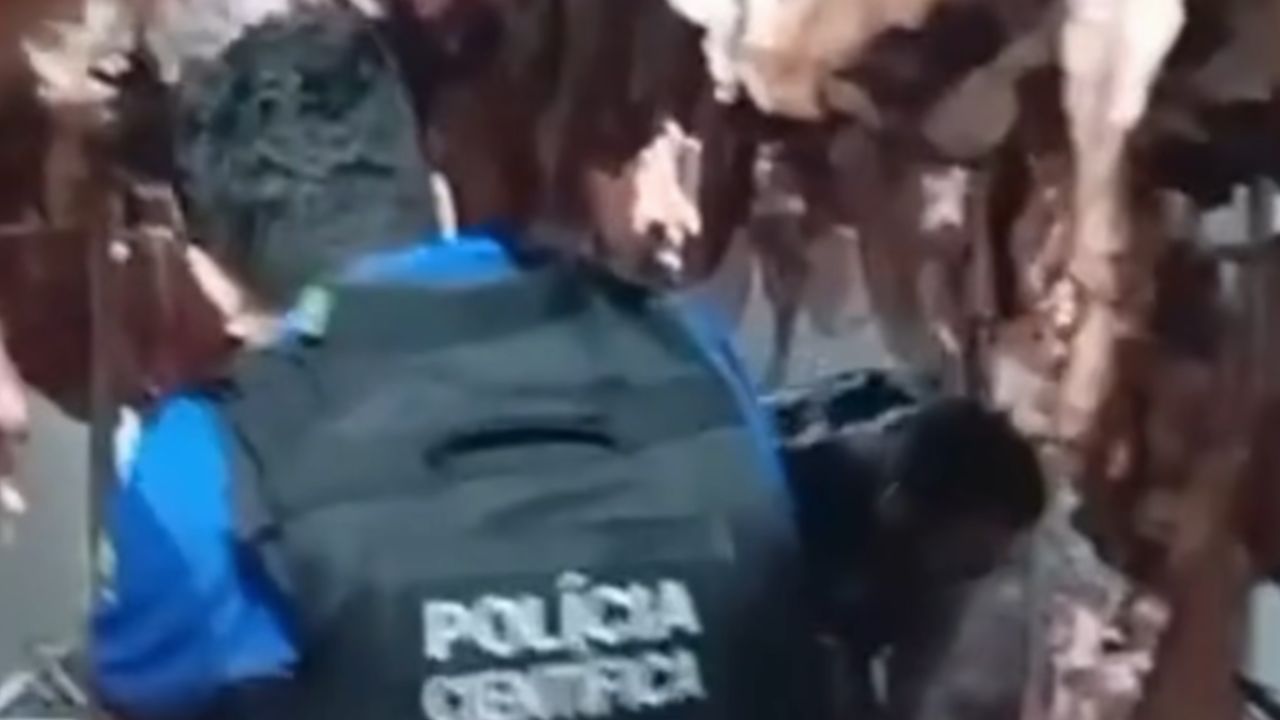 Policia prende proprietário de açougue por receptação e venda de carne imprópria