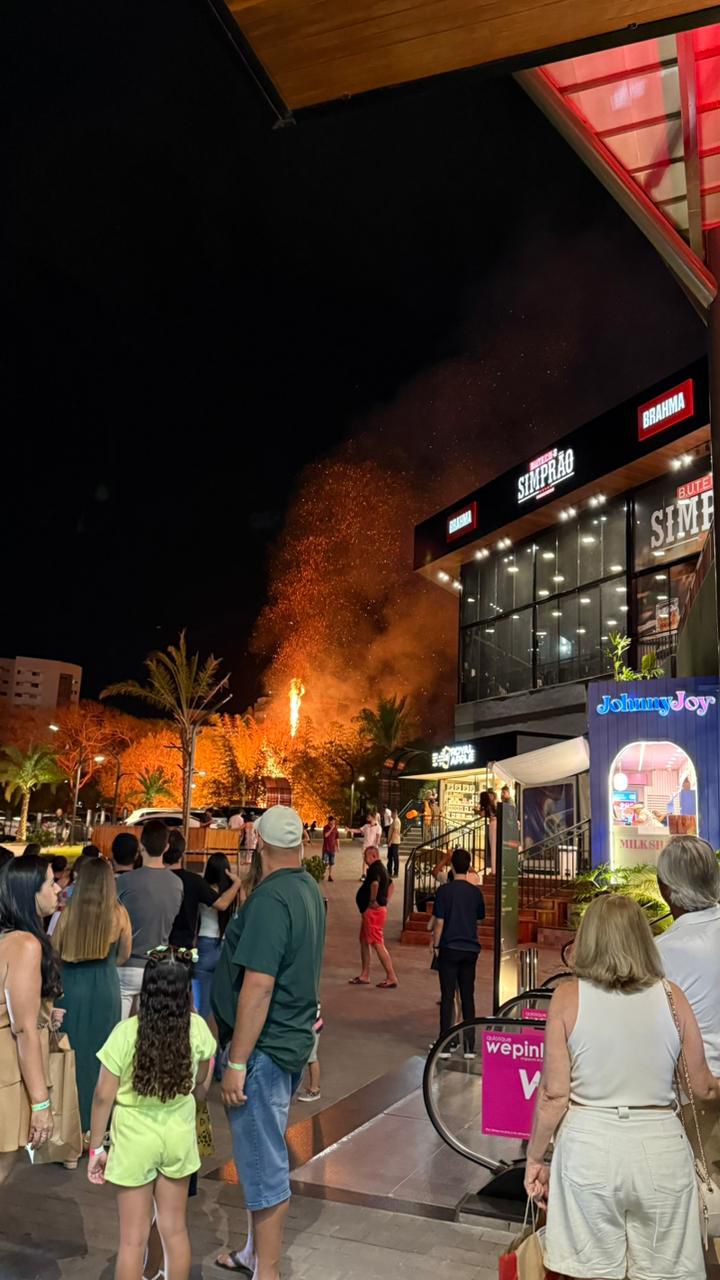 Incêndio atinge bambuzal próximo ao Shopping Singapura