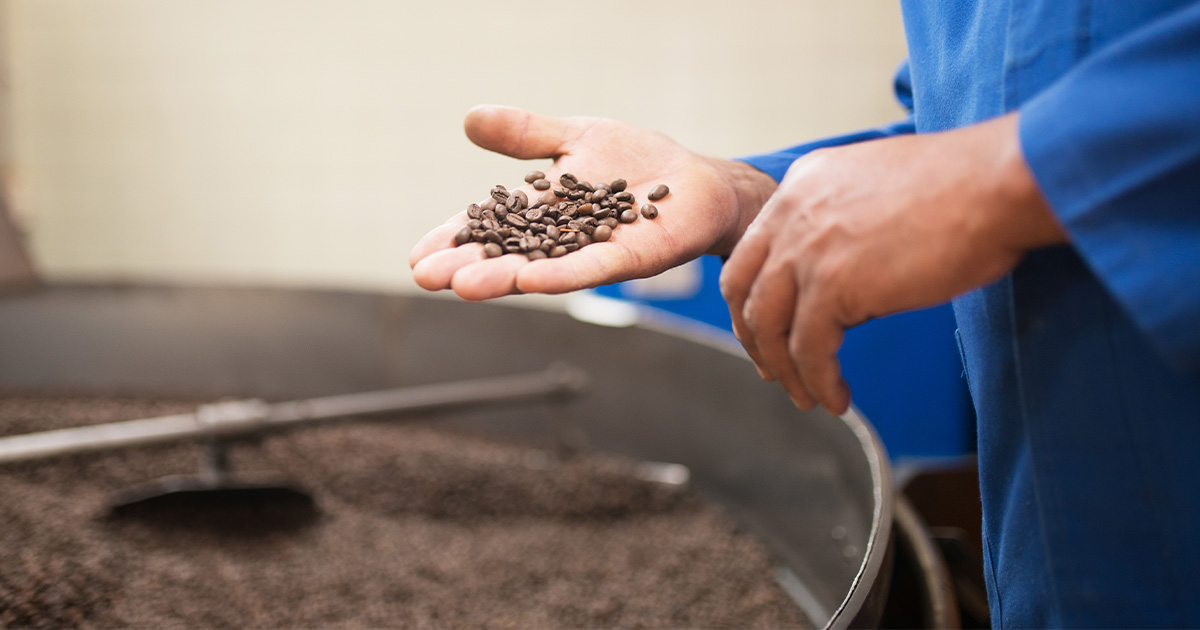 Depósito de café é alvo de fiscalização em Goiânia por irregularidades sanitárias
