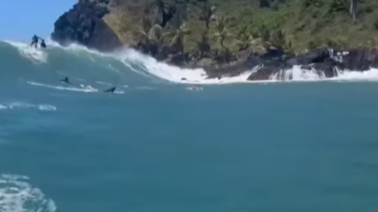 Vídeo: Onda rara “Montão” surge em condições perfeitas no litoral norte
