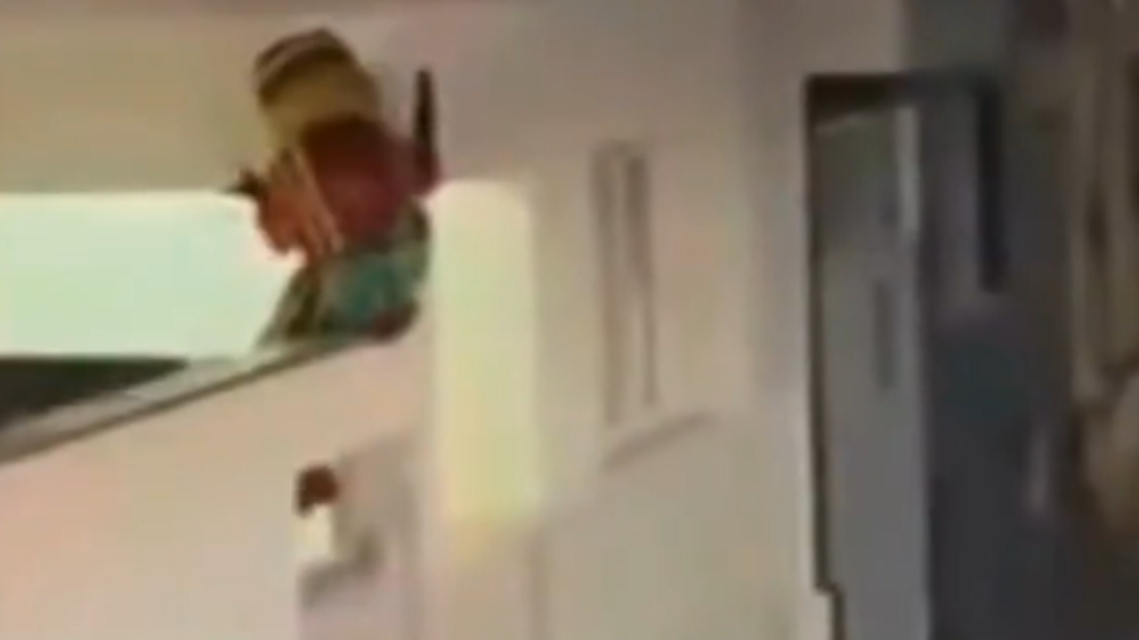 Vídeo: Fofão despenca de telhado em show de Trem da Alegria em Minas Gerais