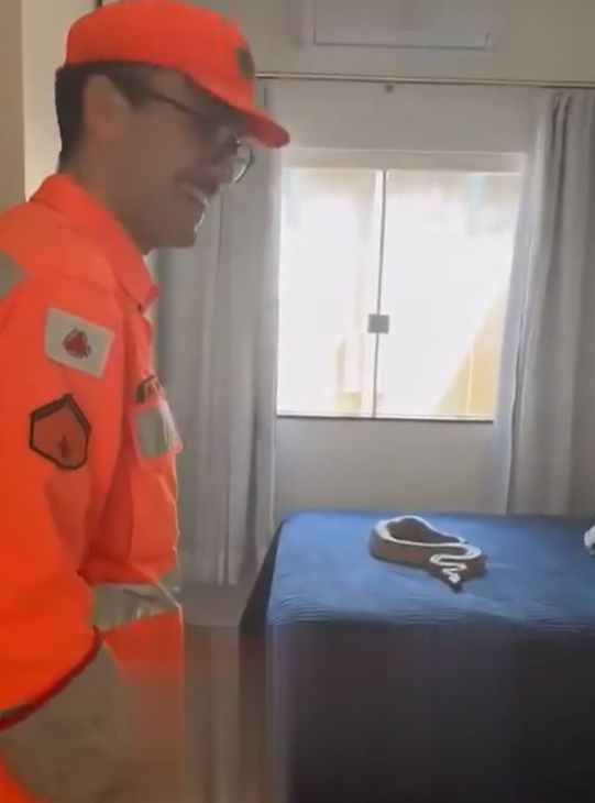 Vídeo: Jiboia de 1,5 metro é encontrada em cama de mulher em Minas Gerais