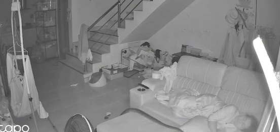 Vídeo: Píton selvagem invade residência e causa susto na Tailândia