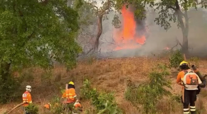 Incêndio na Chapada dos Veadeiros completa 12 dias de trabalho intenso dos bombeiros