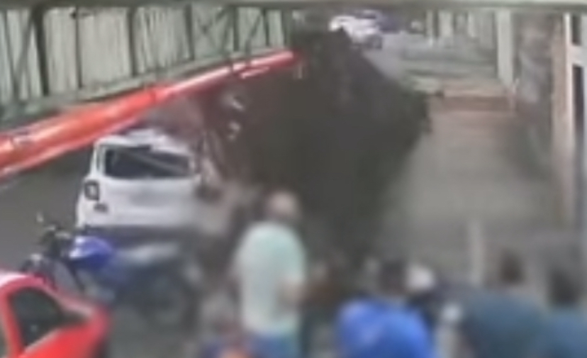 Pedido ignorado por 12 anos: árvore cai sobre carro após alertas técnicos