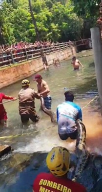 Sucuri de cinco metros surpreende banhistas em hotel de Rio Quente