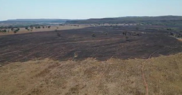 Fazendeiro é preso suspeito de causar incêndio que destruiu mil hectares em Quirinópolis