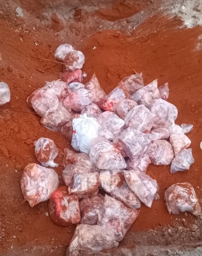 Carne sem refrigeração é achada em abatedouro irregular em Niquelândia