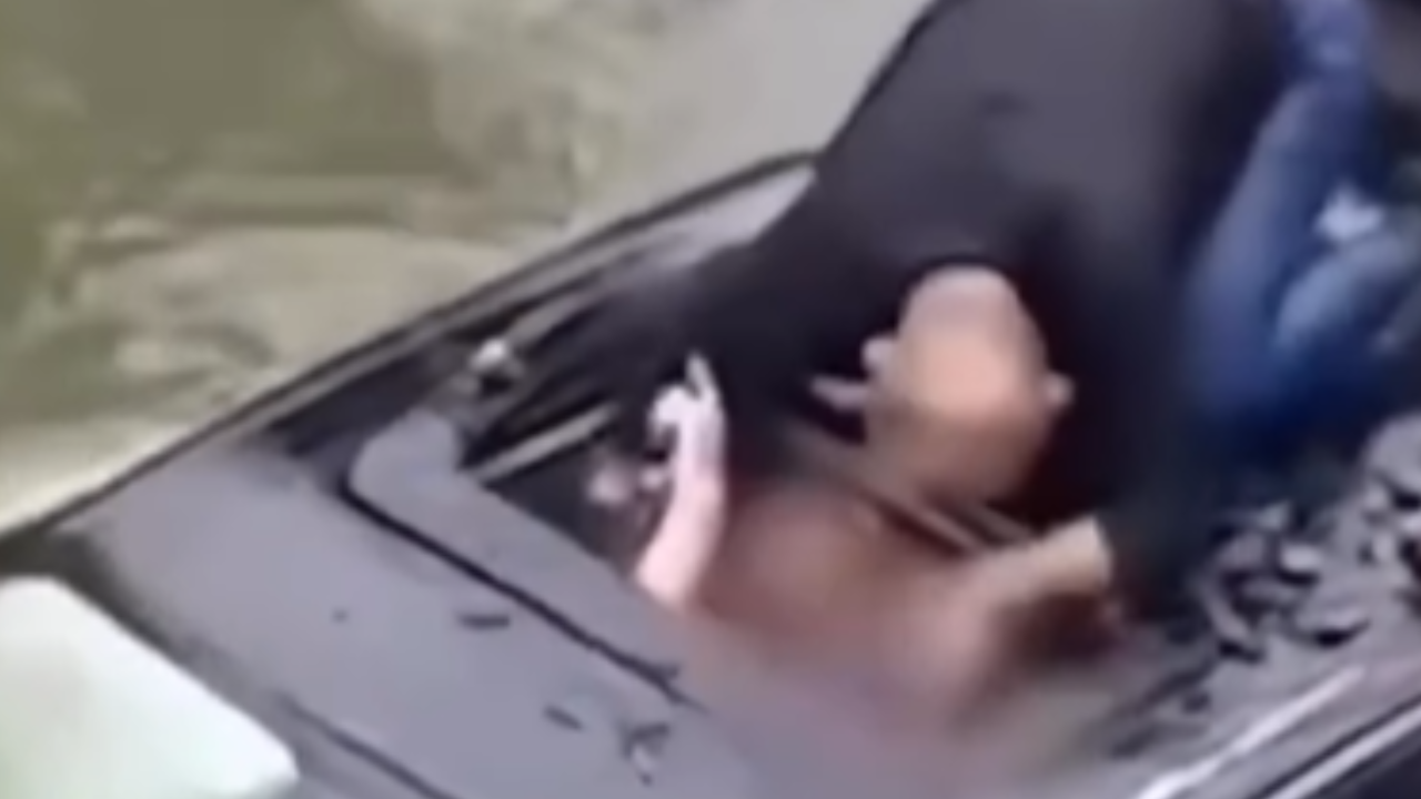 Homem se joga em rio e salva motorista de carro que caiu em rio