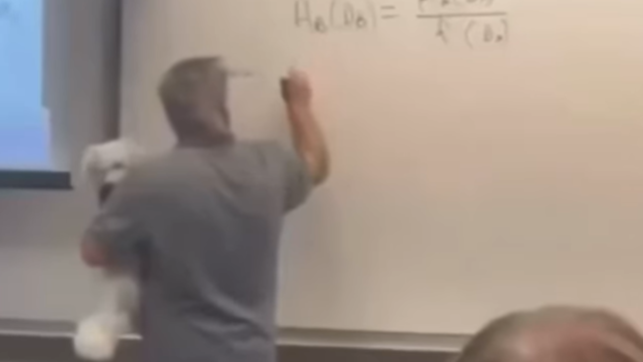 Vídeo: História de professor com cão resgatado em escola conquista corações