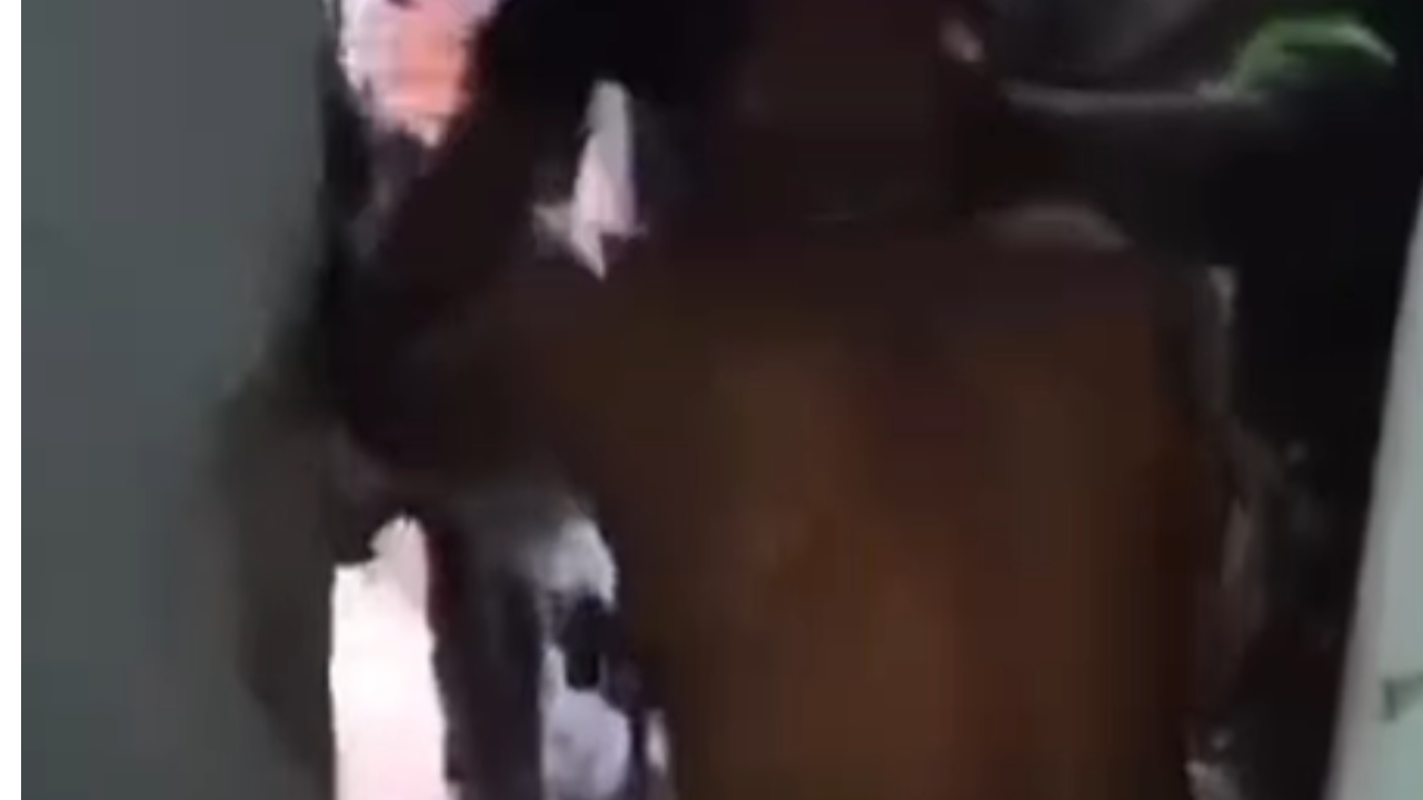 Criminosos encurralados pedem registro do momento da rendição durante ação policial histórica na Penha