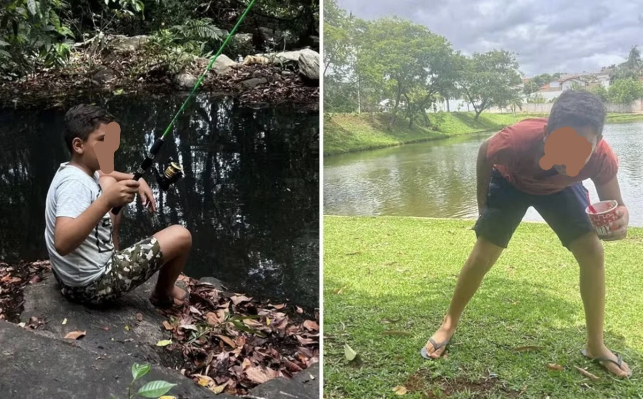 Menino de 9 anos morre após levar mais de mil picadas de abelhas em Goiás