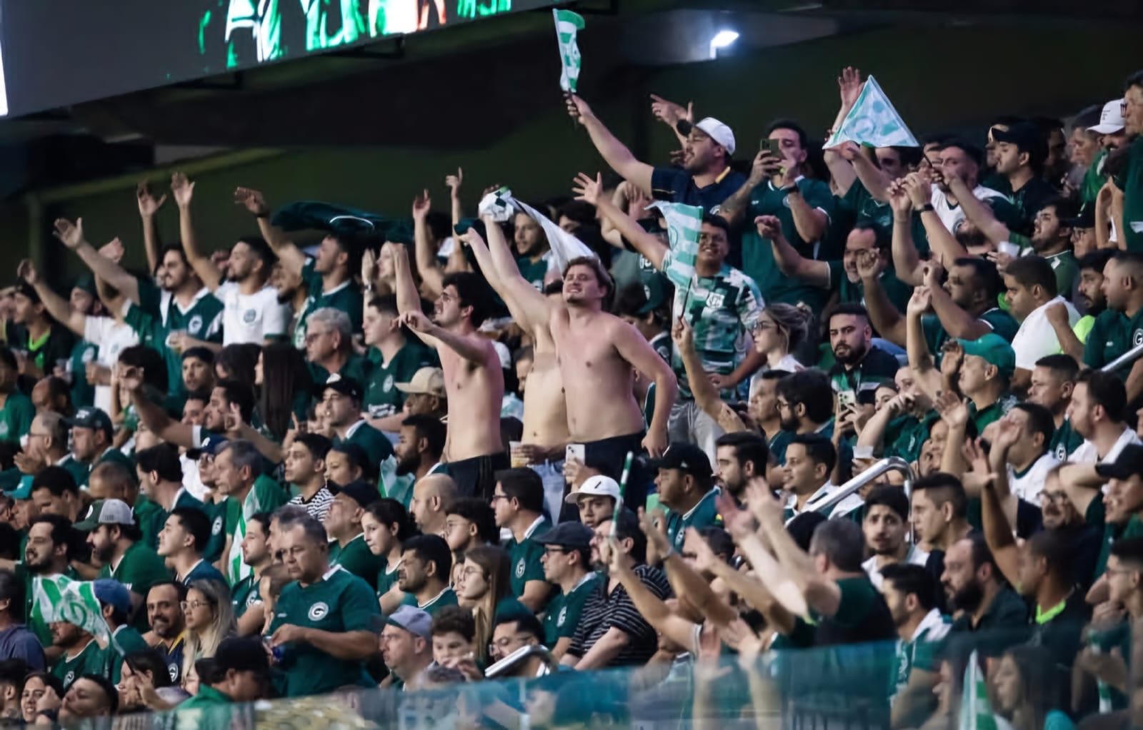 Goiás pede desculpas à torcida após derrota para Remo e fracasso na Série B