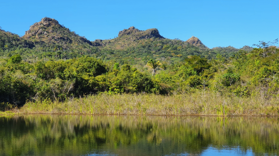 Goiás alcança marco histórico ao zerar fila de licenciamento ambiental