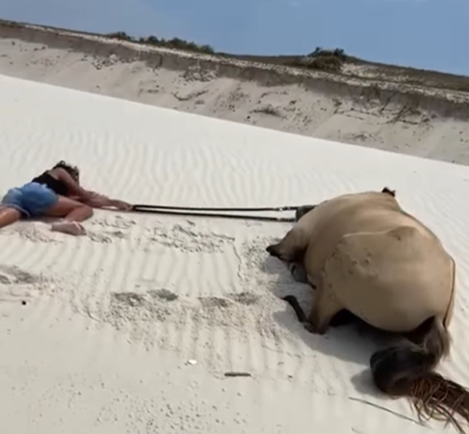 Amizade entre menina e cavalo encanta na praia e emociona nas redes sociais