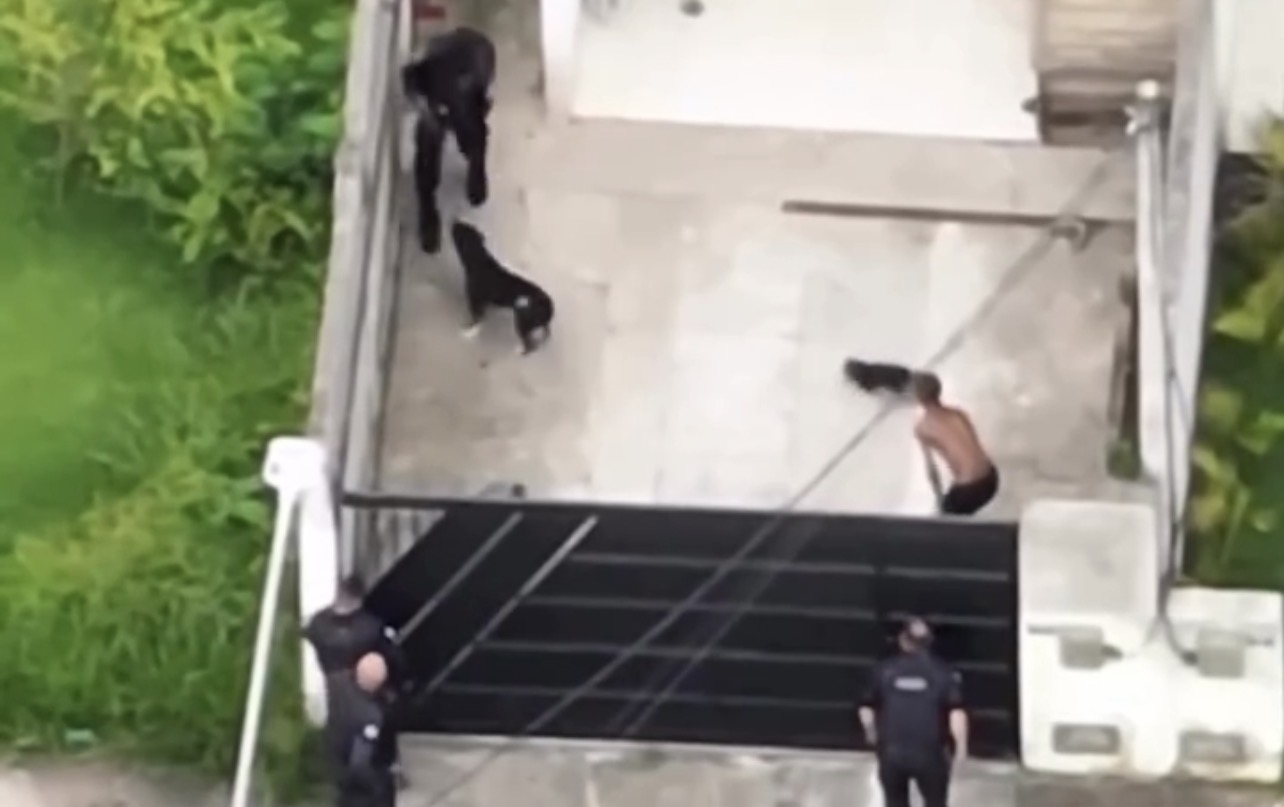 Fugitivo é atacado por cachorro ao saltar muro em fuga da polícia