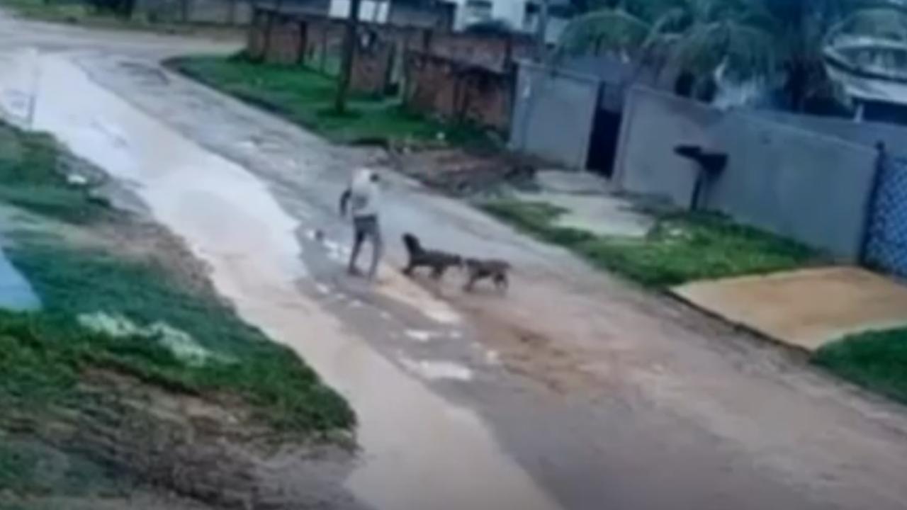 Idoso de 67 anos é atacado por dois cães pitbull e sofre múltiplas mordidas
