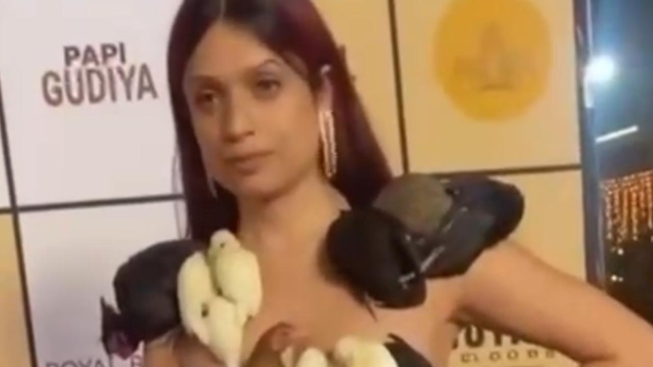 Vídeo: Influenciadora usa galinhas como "Vestido vivo" em performance polêmica