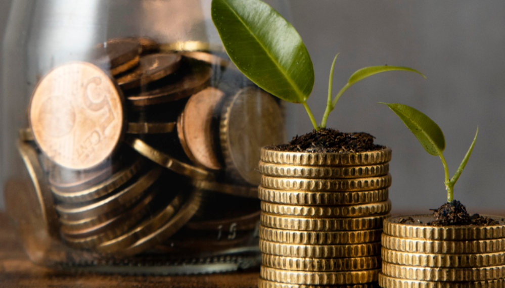 Gestão de Investimentos: Estratégias para Crescimento Sustentável