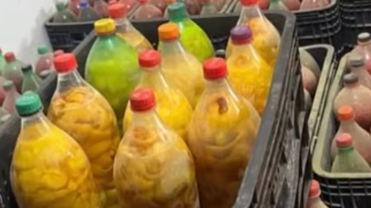 Operação fiscaliza fábrica clandestina de conservas em Goiânia