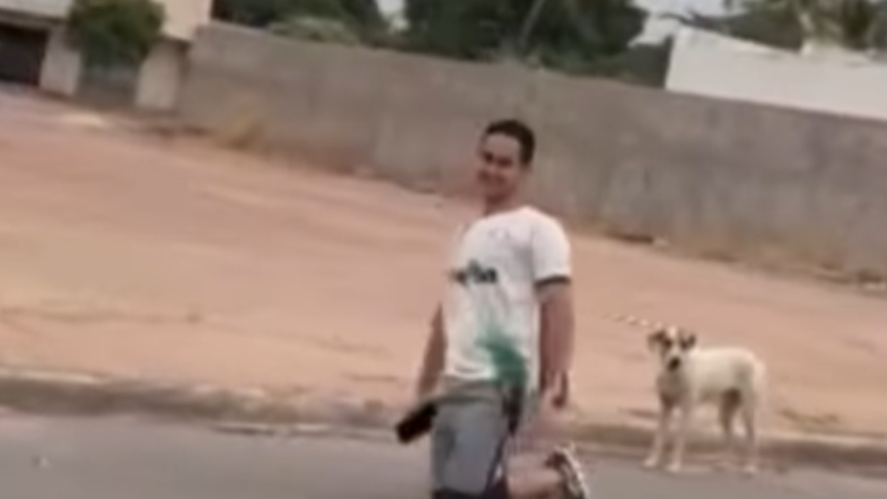 Vídeo: Jovem palmeirense anda 4 km de joelhos após classificação heróica na Libertadores para cumprir promessa